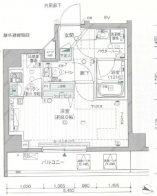 メインステージ板橋志村IIの間取り図