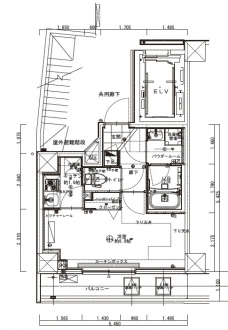 メインステージ板橋志村IIの間取り図