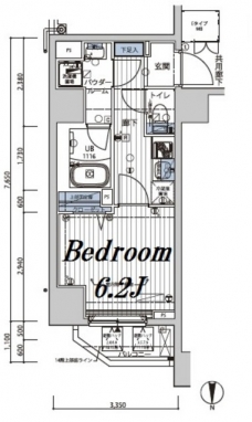 メインステージ錦糸町VIIラピスの間取り図