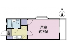 エーデルヴァイス