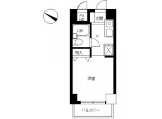 スカイコート新宿第10