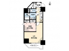 プレール・ドゥーク両国IV