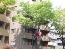 プレールアパートメント芦花公園