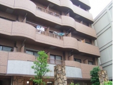 フェニックス下落合