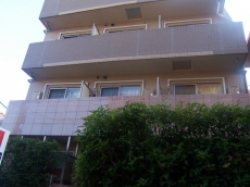 メインステージ久我山