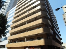 ライオンズマンション西新宿第７