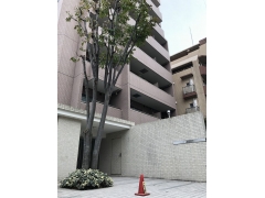 イーリスコート桜上水